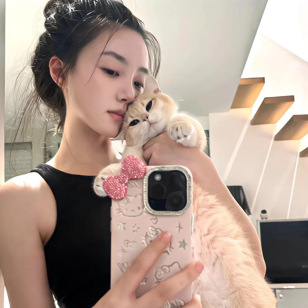 小猫困困