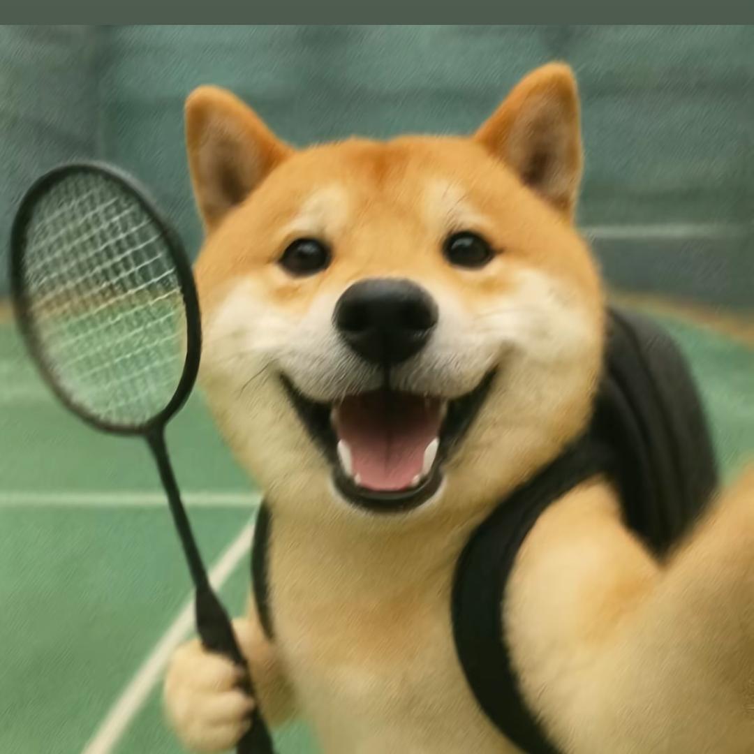 不放香菜🏸