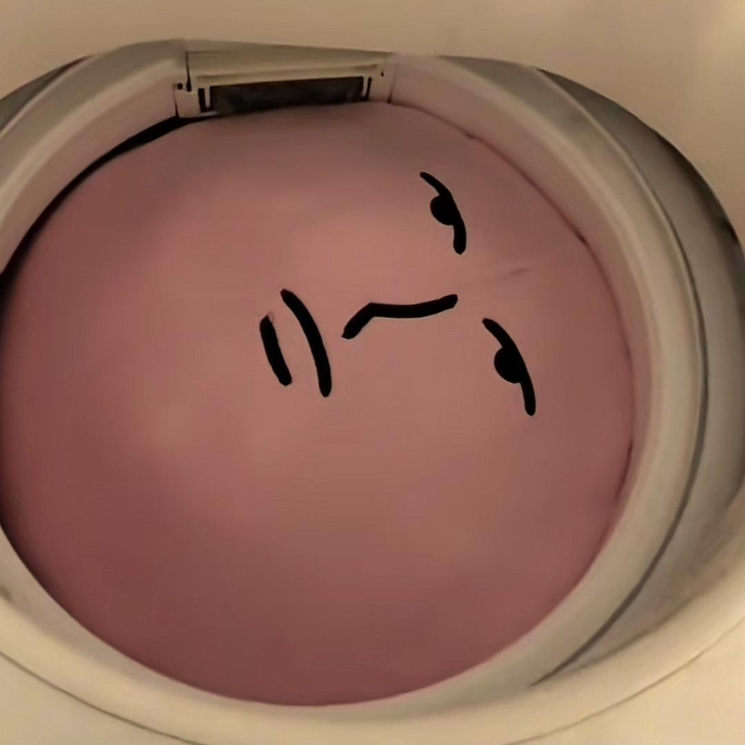 pp1