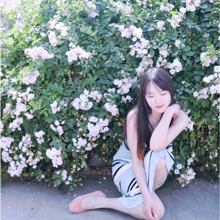 初七🌸