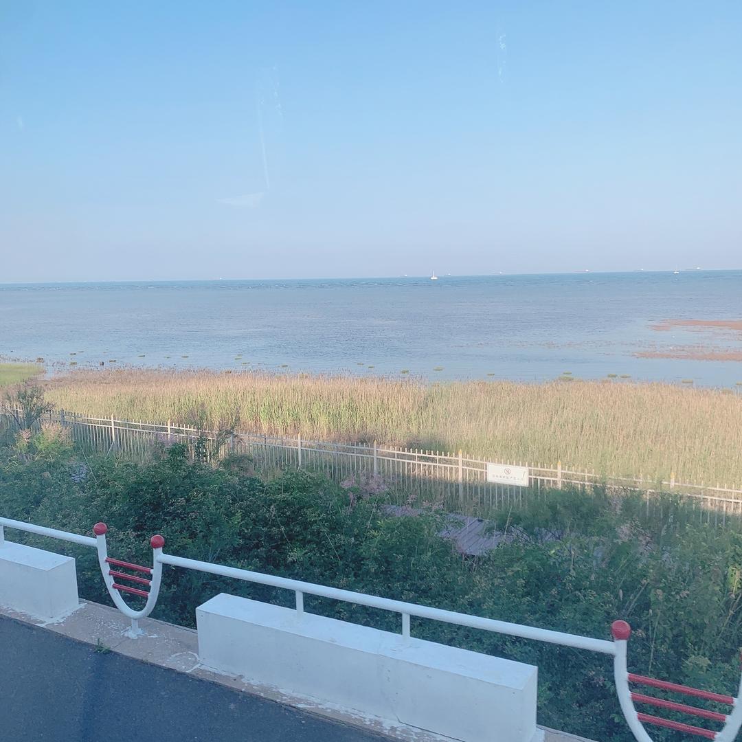 包子张（早点包子，油条，豆腐脑）