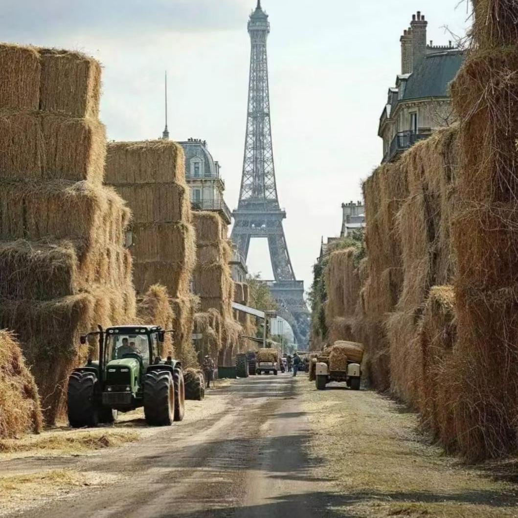 山东鼎好秸秆饲料