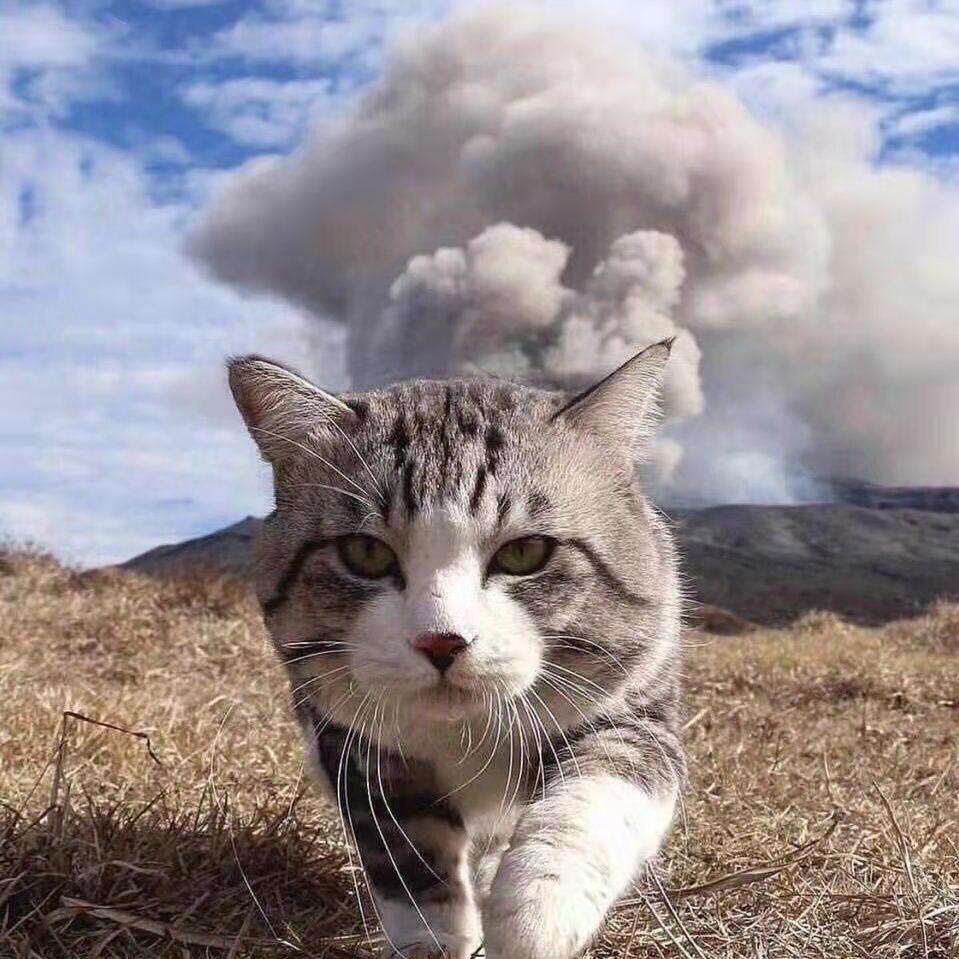 张景林
