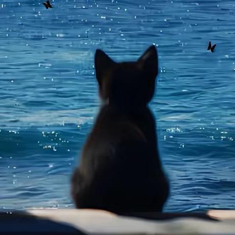 cattyllo