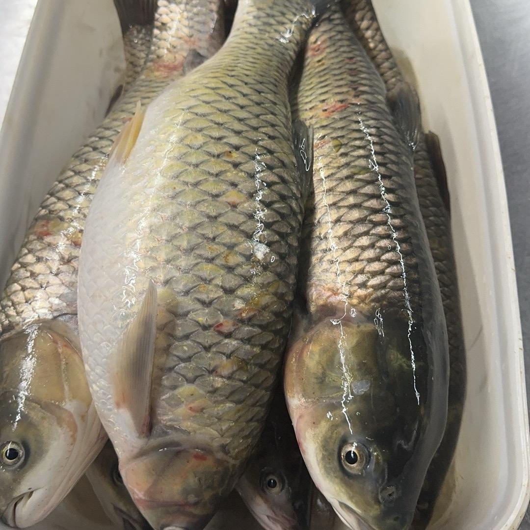 易雷鸣