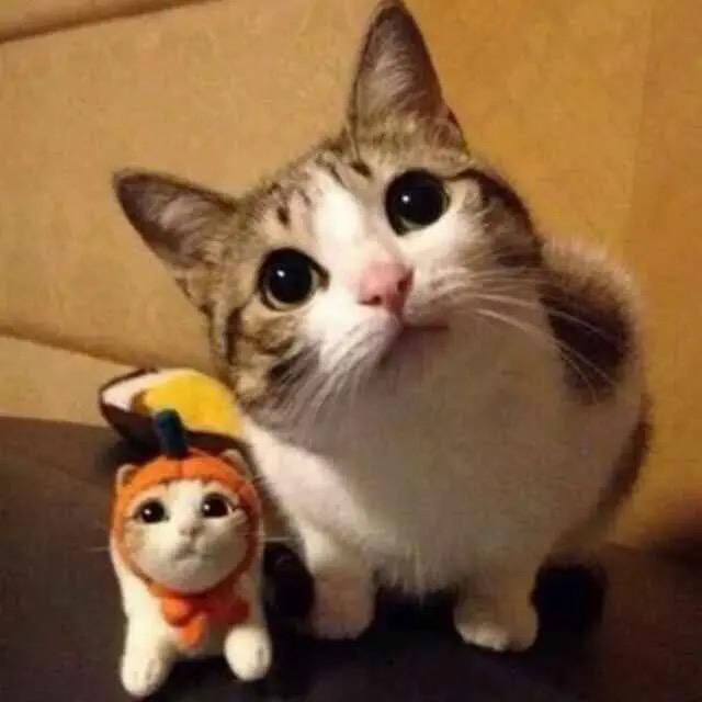 缘¥