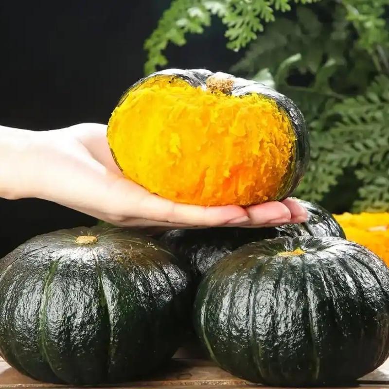 桂久馨南瓜农场