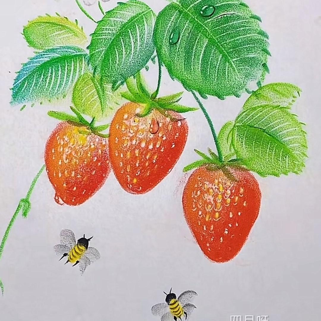 梅梅老师教画画