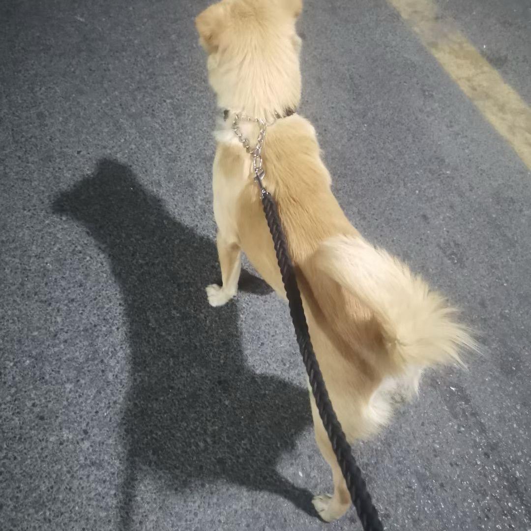 礼貌🦋⚡️退场