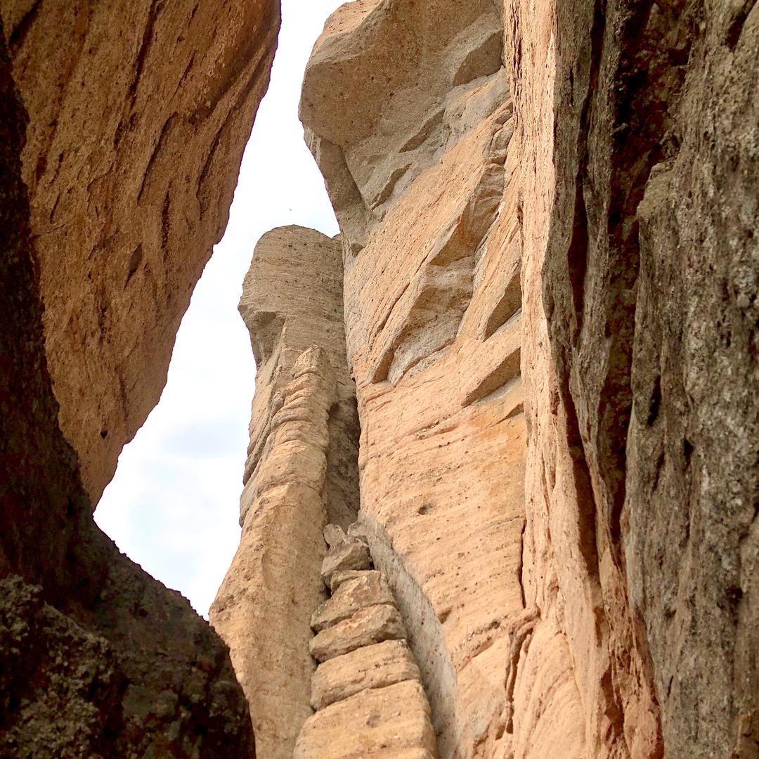 莲花仙·山居岁月