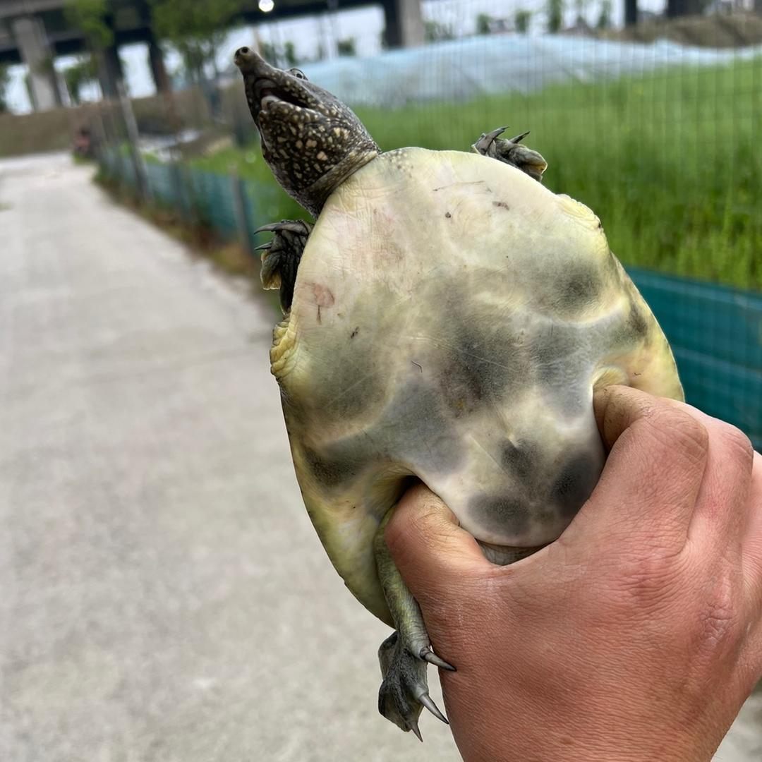 小金的养老生活