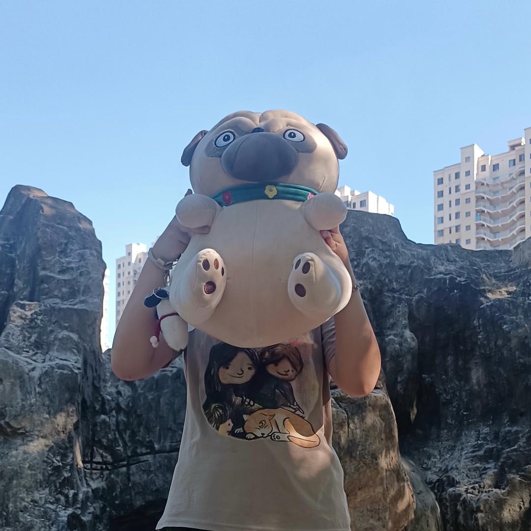 巴扎嘿