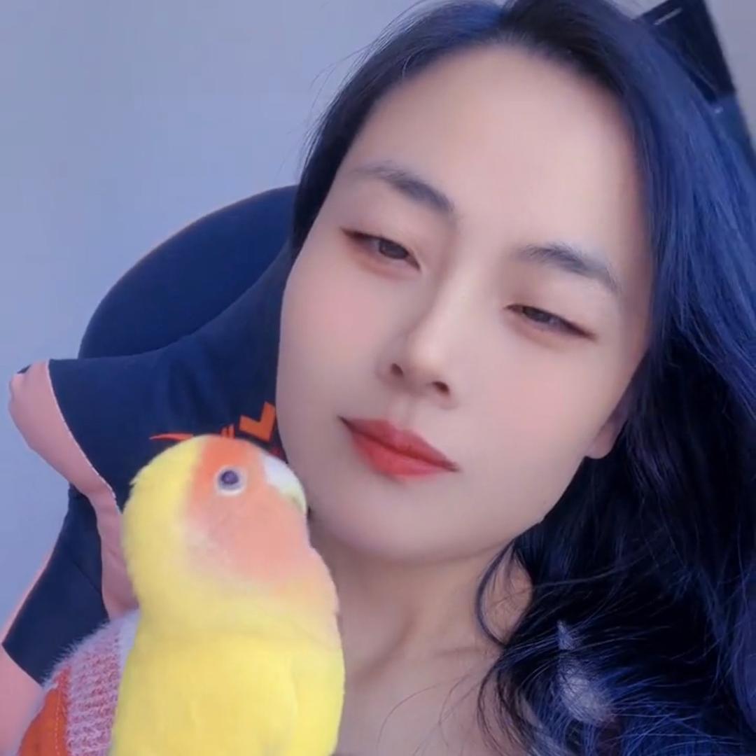 燕燕花卉