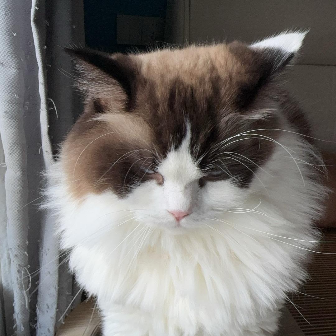 陈煎饼七筒再加一个小百万