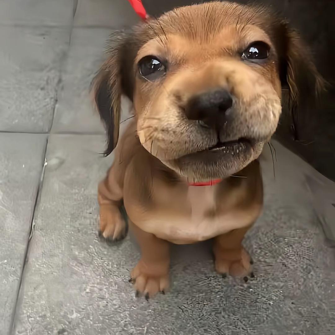 不想睡