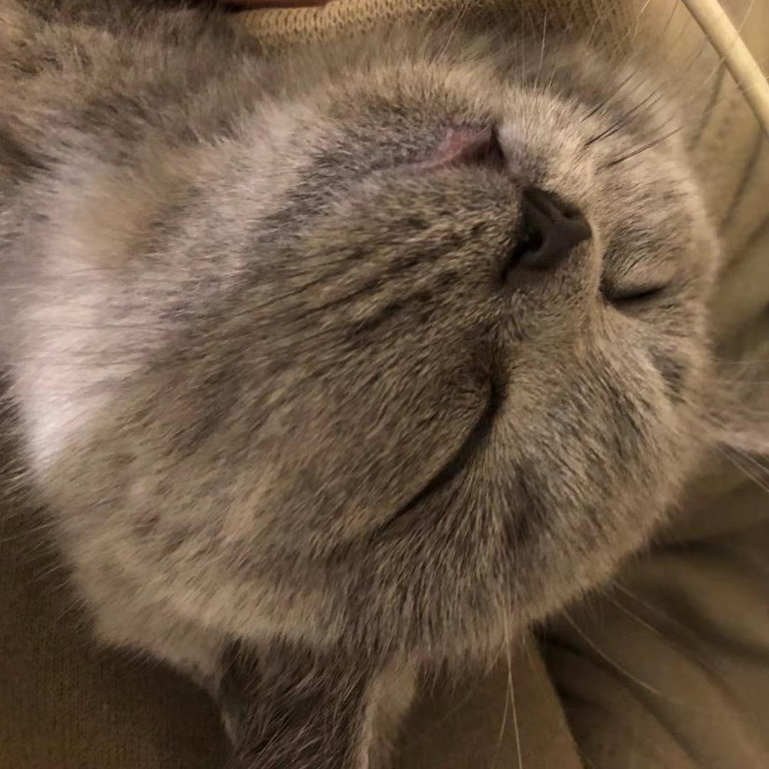 十忆