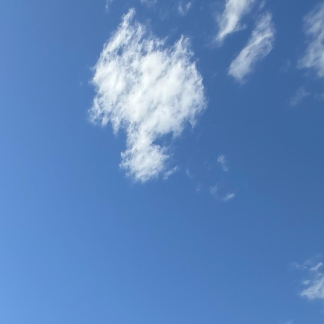 珍惜♥️