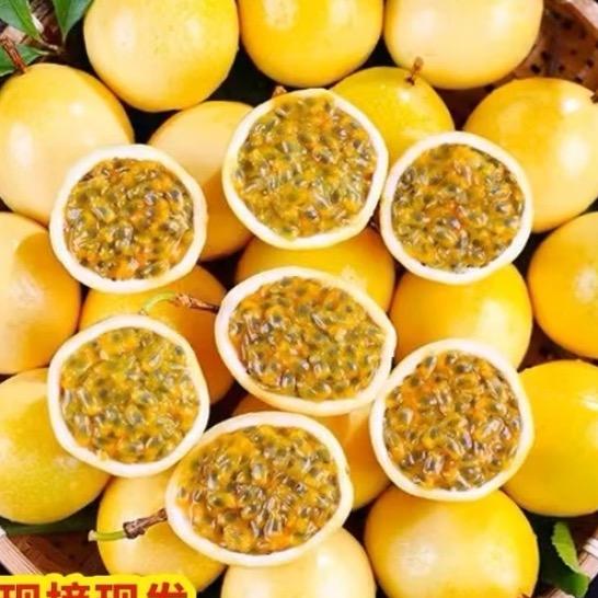 果老二-钦蜜9号黄金百香果