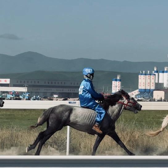 河曲马🐎