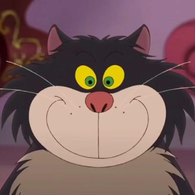 我是一只大脸猫咪