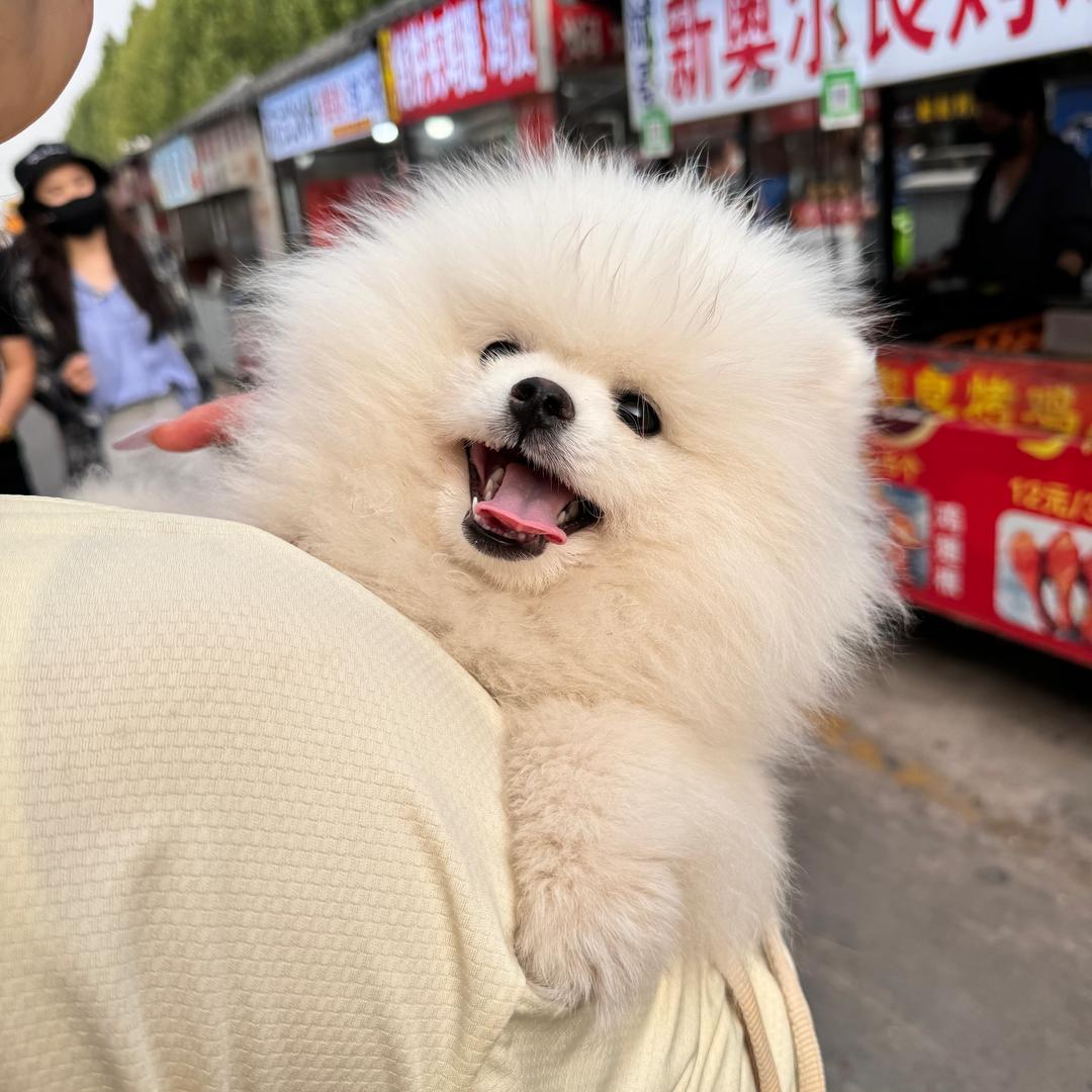 @小豆芽