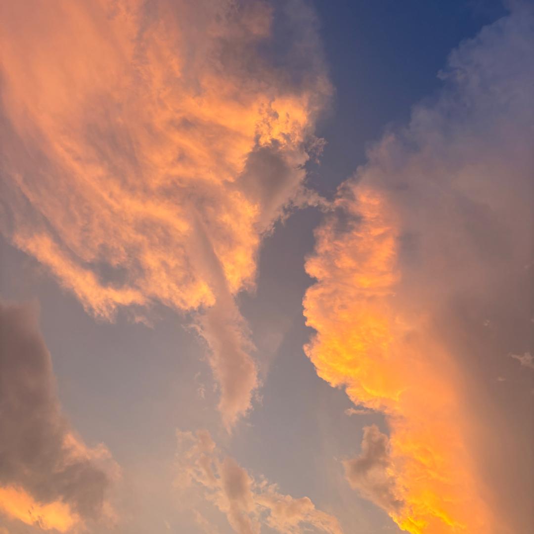 四件套源头工厂