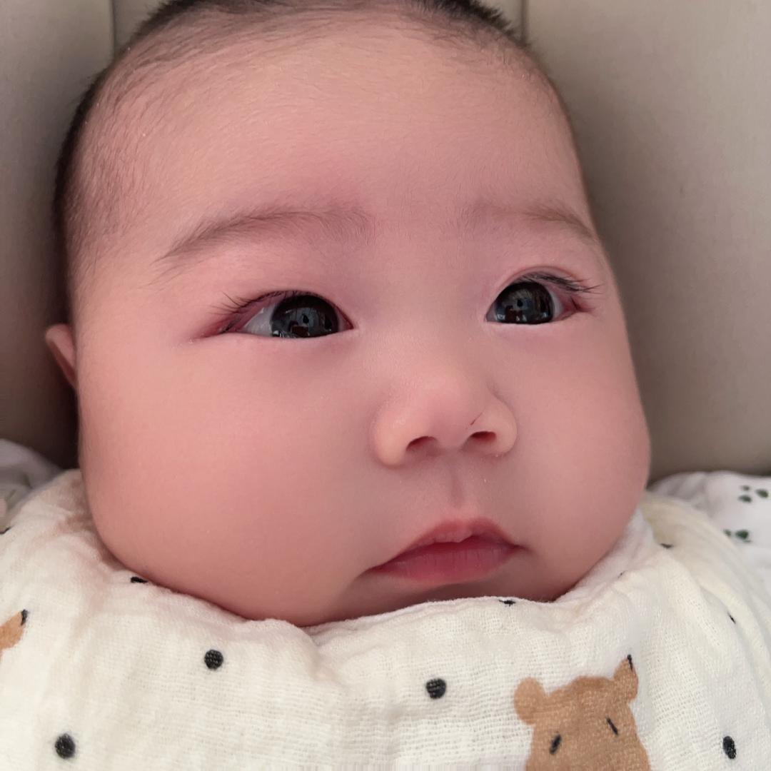 宝印小萌主