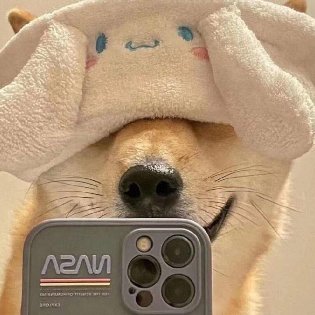 🐑☁️🍍