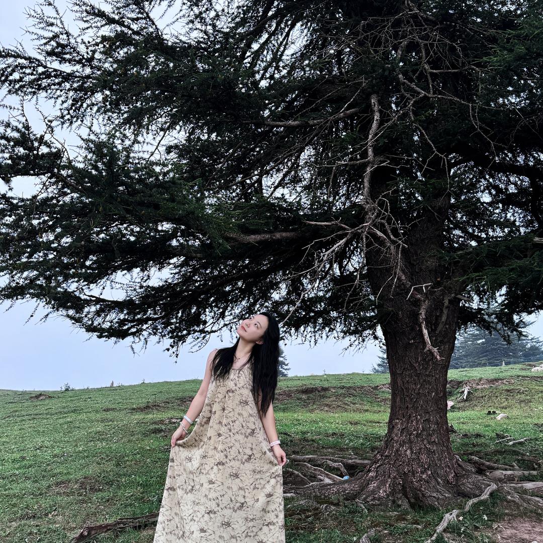 是枝枝枝枝枝！！！