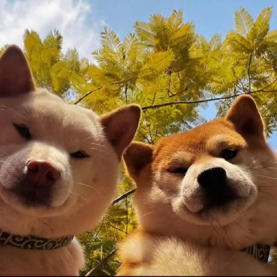 修勾侠