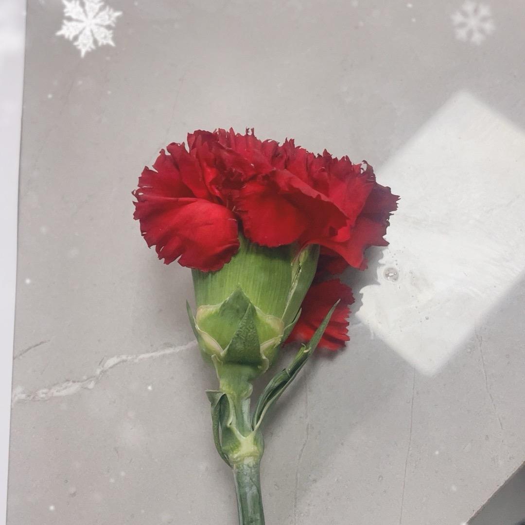 🥂ꦿ꯭微醺ঞৣঁ🥀