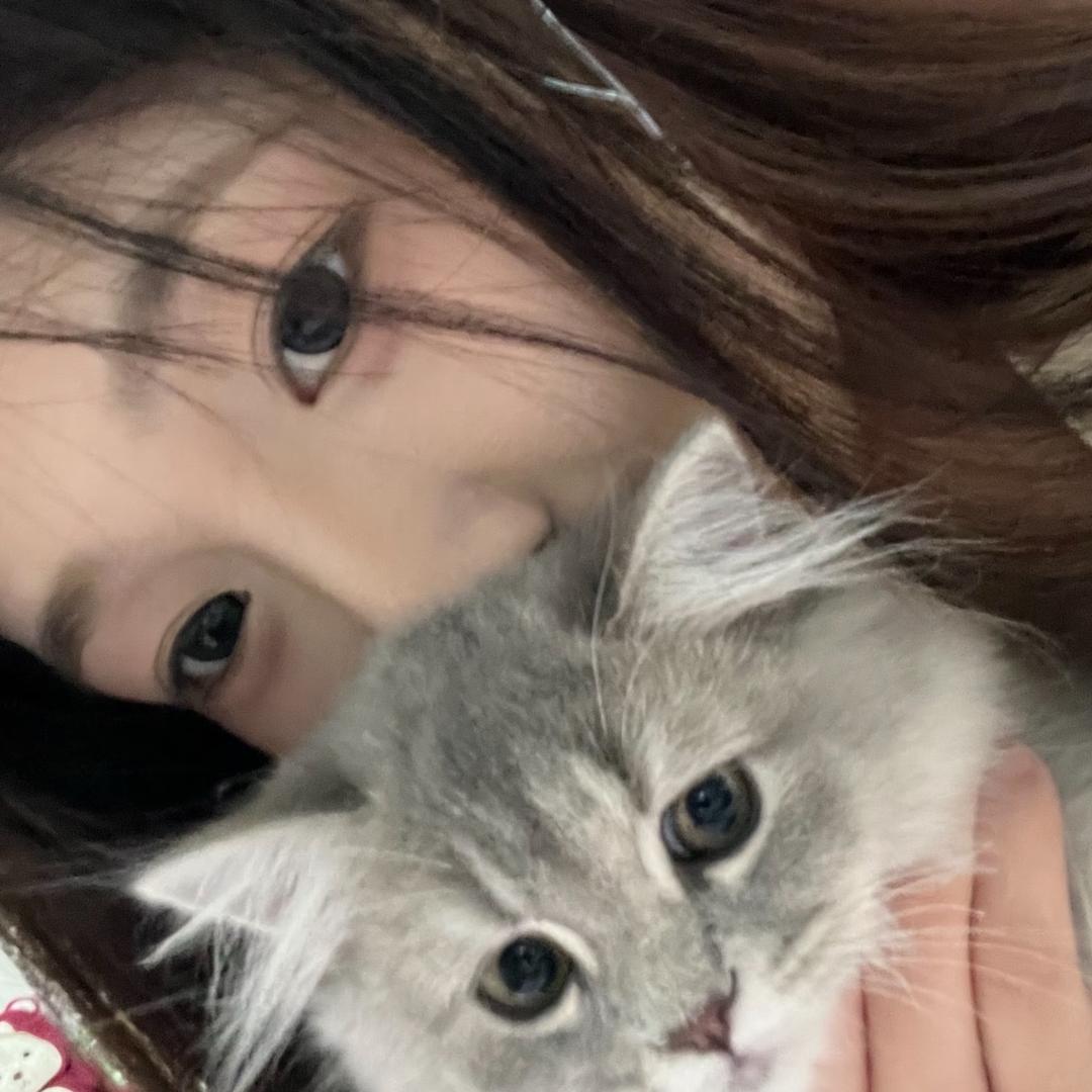 晚风訡.