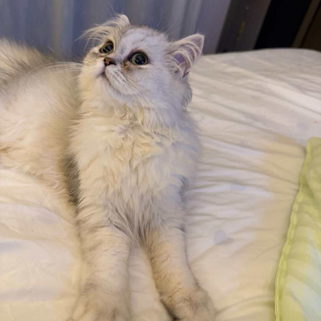九月.𝓶