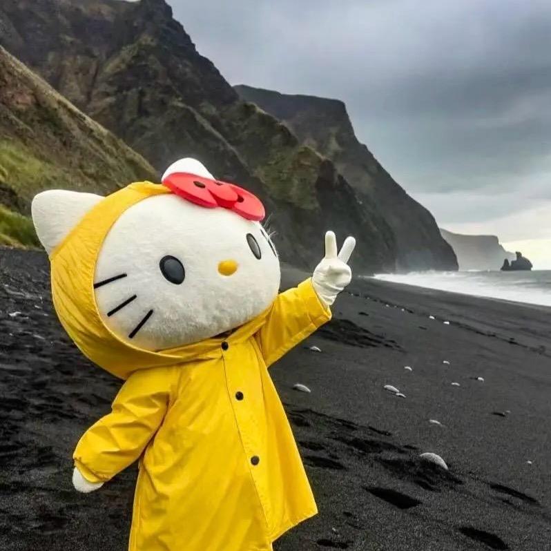 小猫不流泪