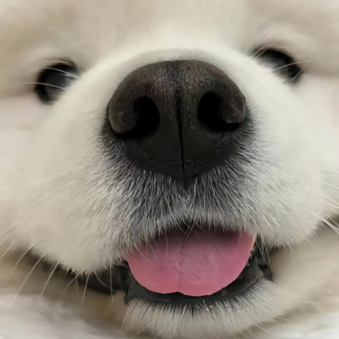 周放
