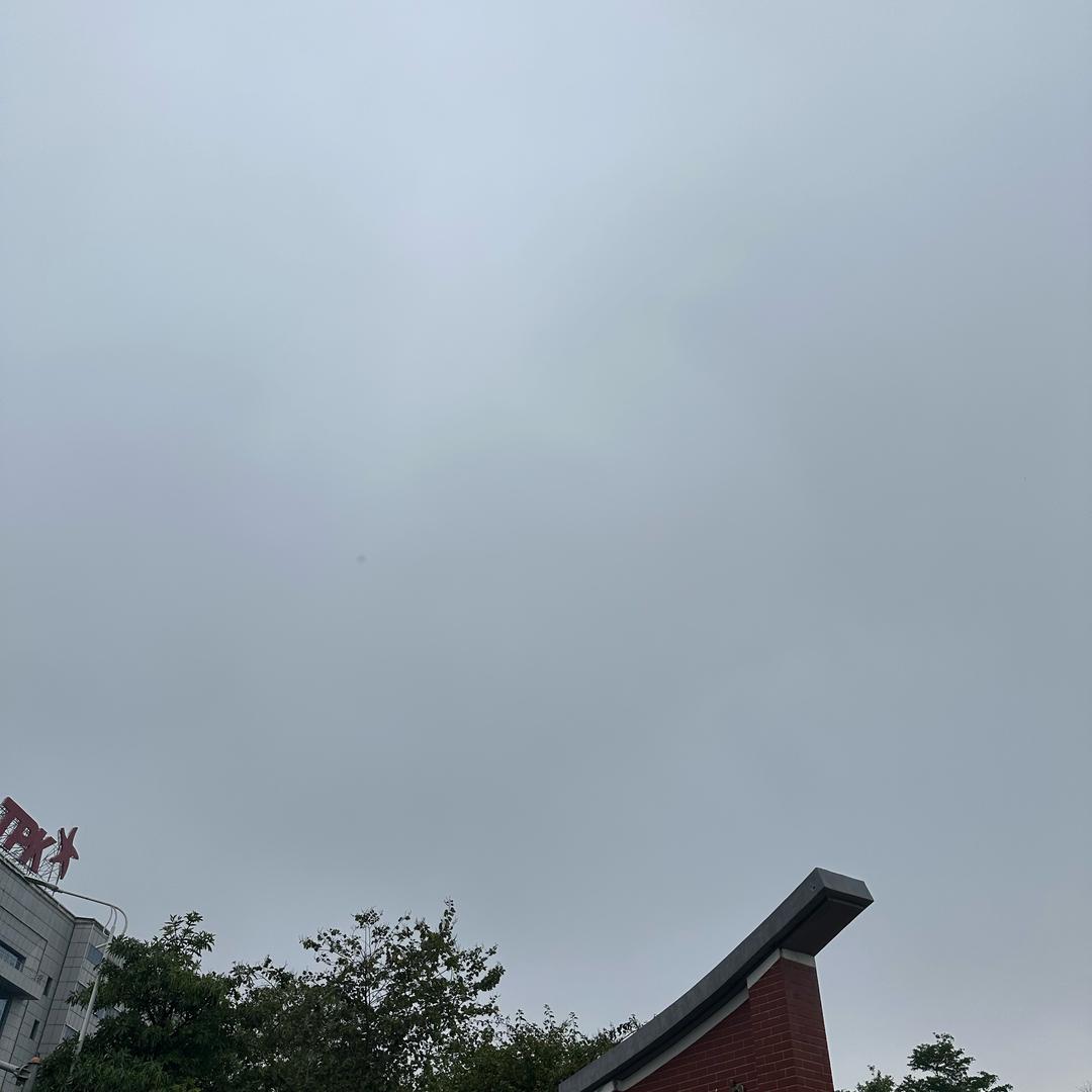 小刘     同学