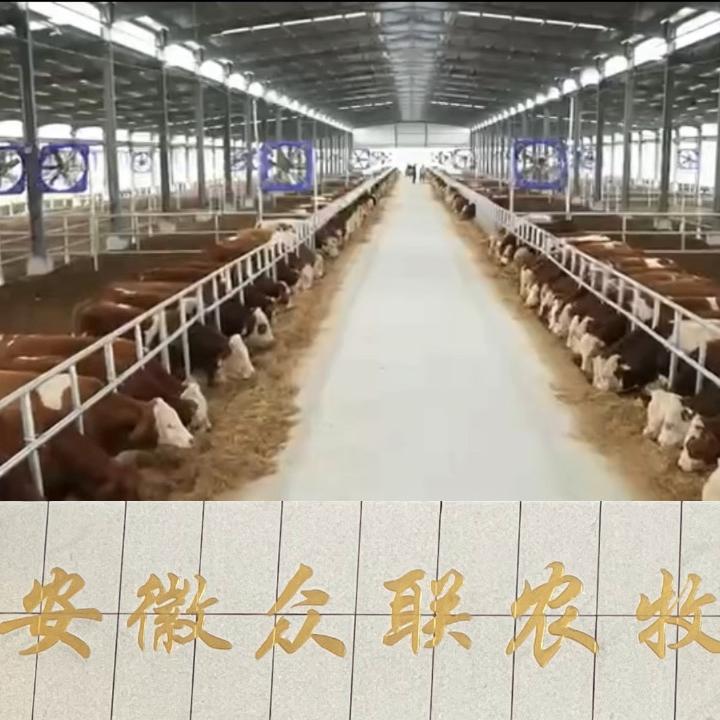 众联农牧养殖基地