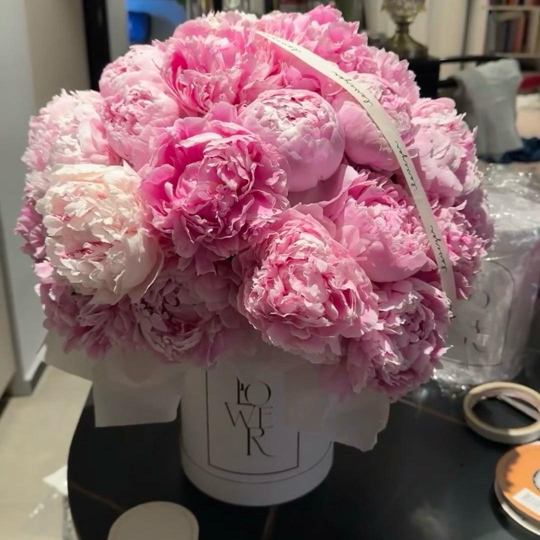 🧸Miss_Zhang🍀🍑