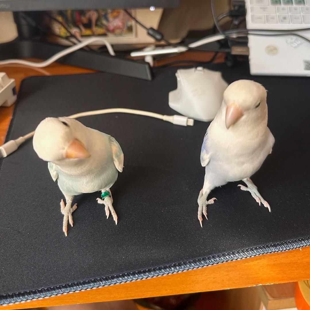 阿辉