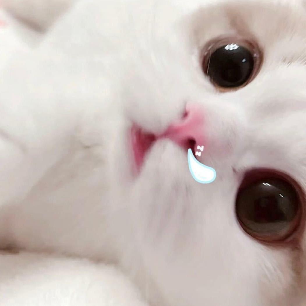 娜美事了