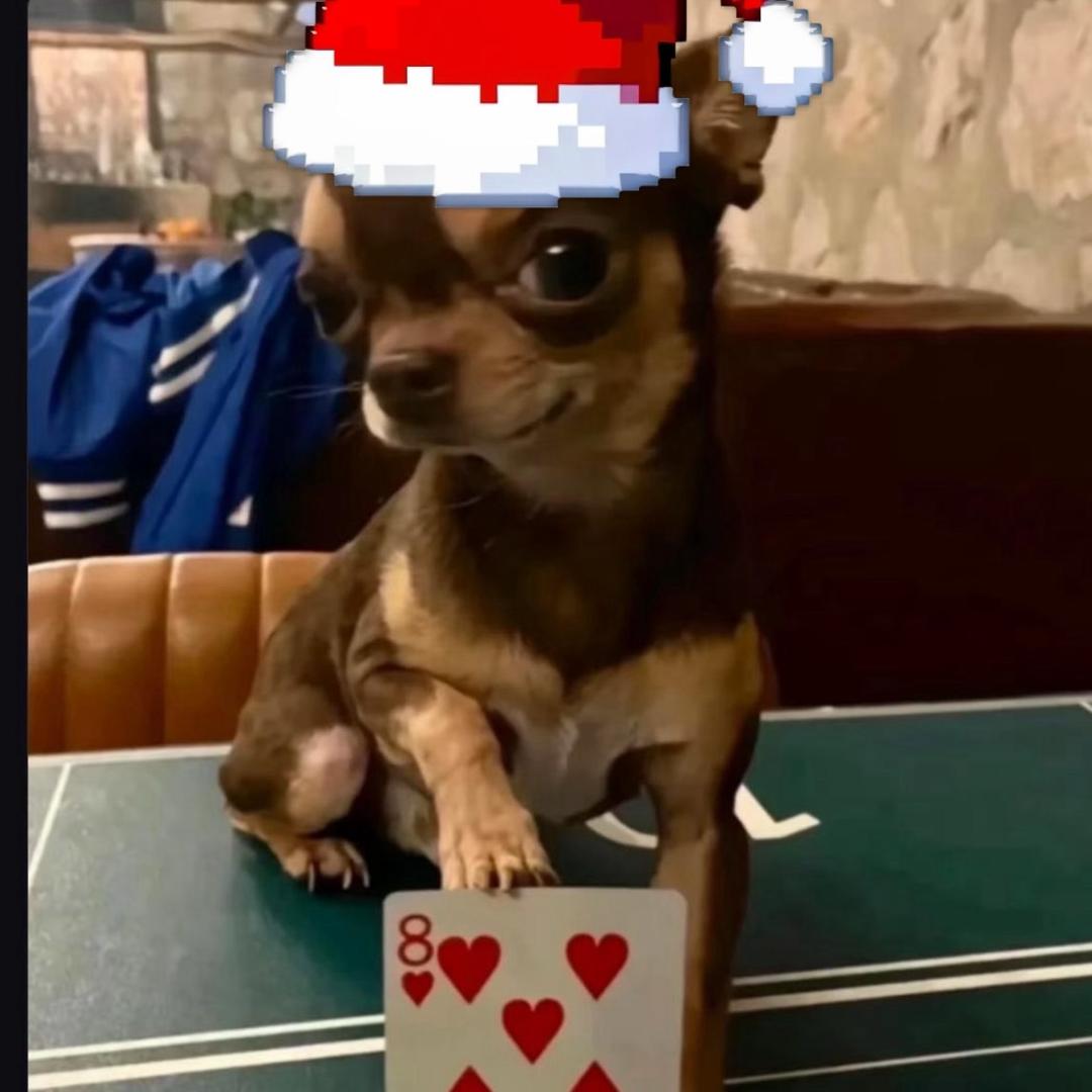 健康聪明平安快乐顺利好运漂亮