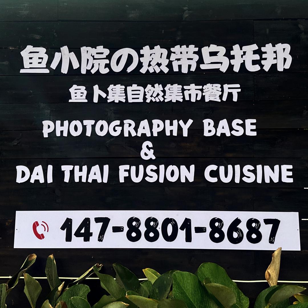 鱼小院的鱼卜集