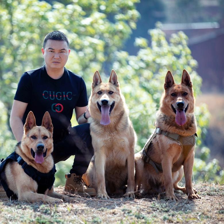 云鼎犬舍