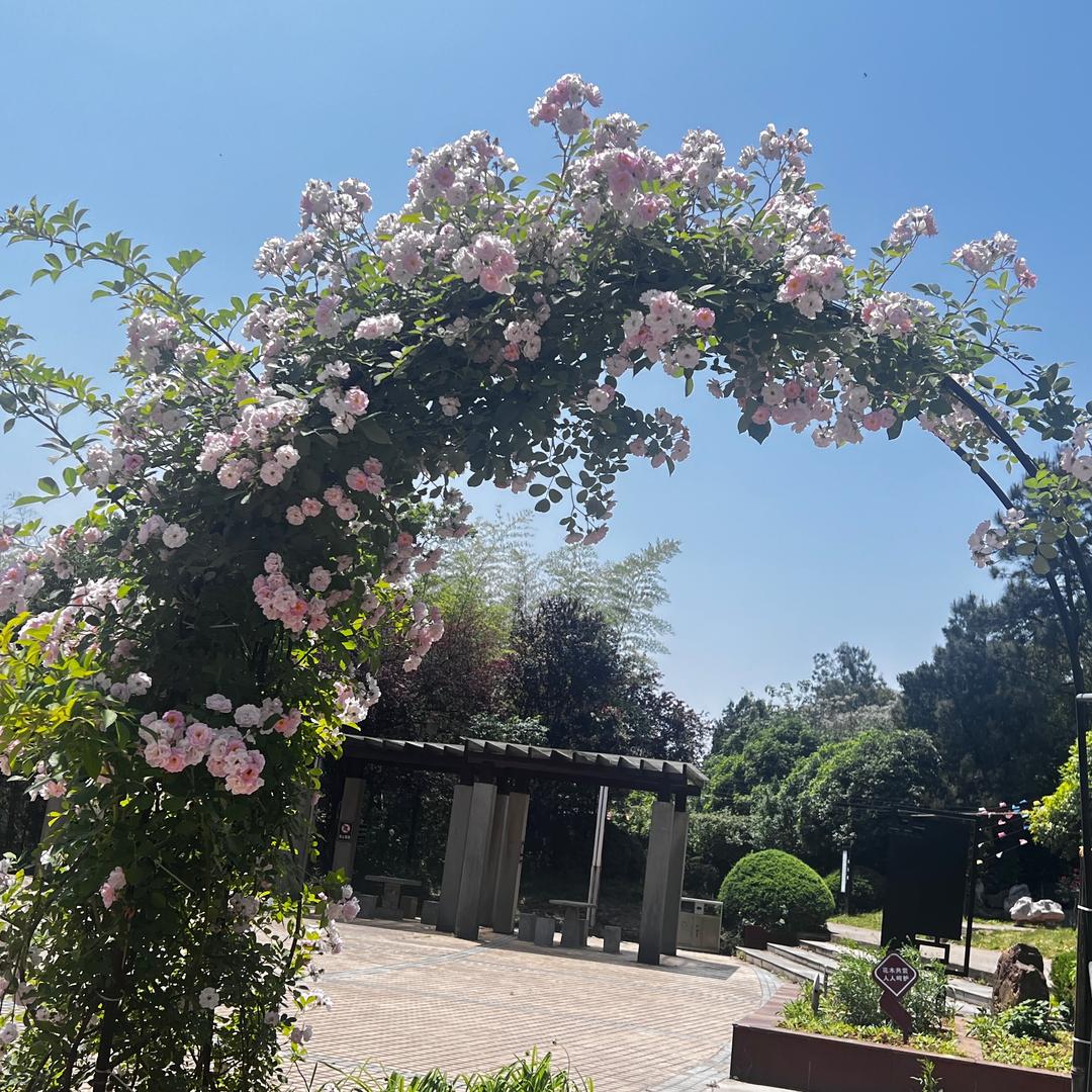 坚定一个信念永不言败