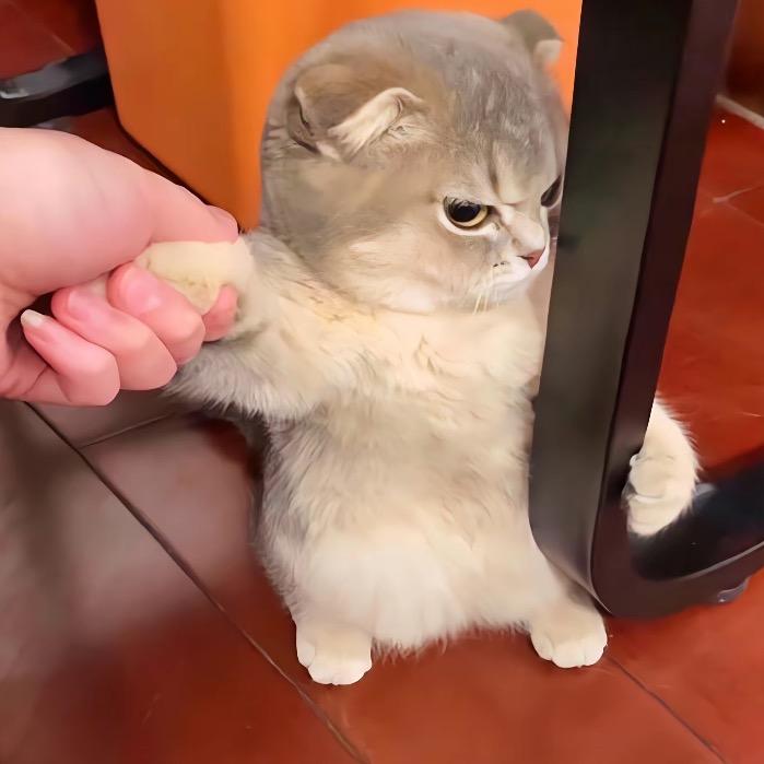 欢喜甄选