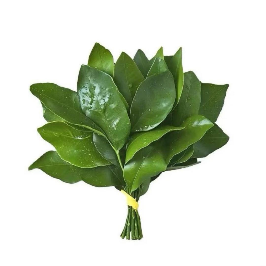 A.