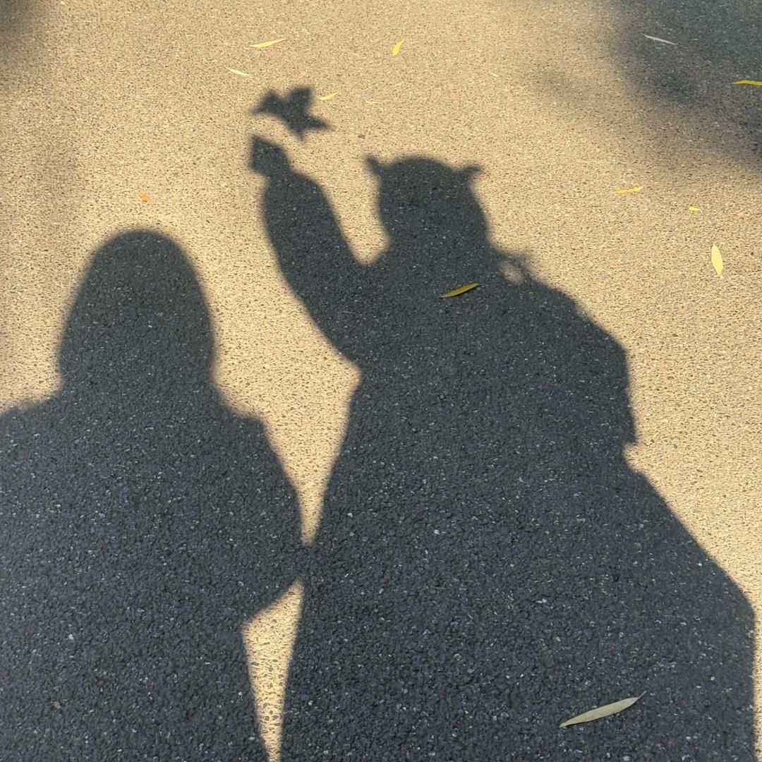 云云☘☘️☘️☘️🍃