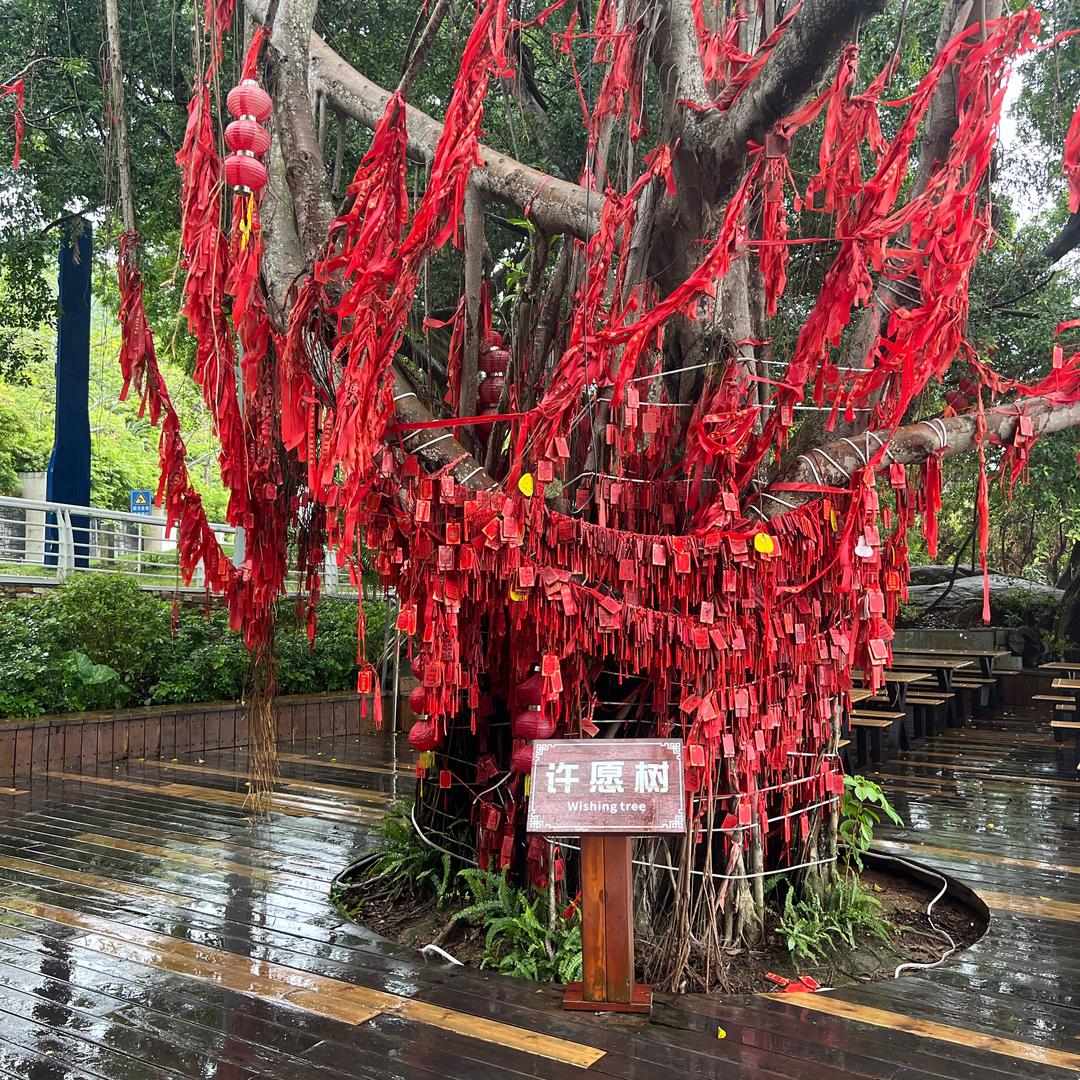 花非花，雾非雾