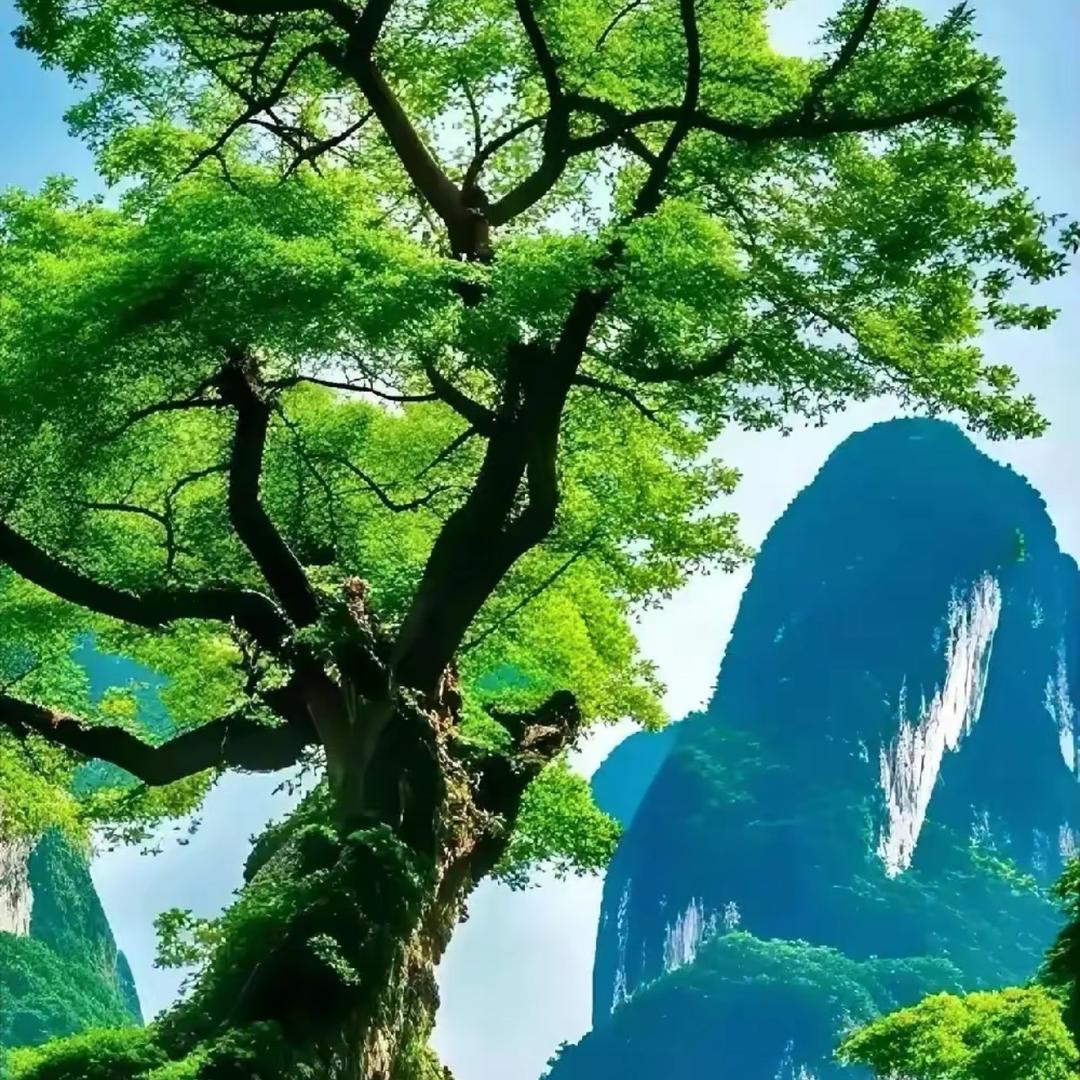 分享快乐🎉