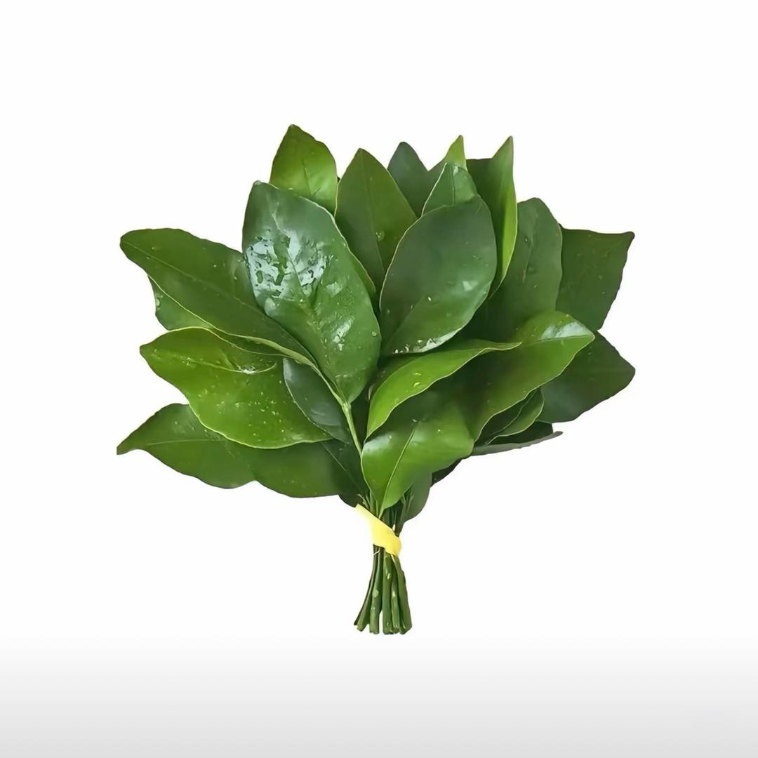 仔仔